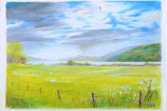 “Loch Ness Looking South”, 5”x7” colored pencil on paper (Polychromos on Artistico watercolor paper, 140 lbs, hot pressed, 100% cotton), reference June 9, 2024, 9pm. We 3 were there. Had visited Urquart Castle on the lake’s western shore (about straight down from the bird in my piece). Air filled with sounds of sheep. Think: Heaven. (That text with FB post 2:12 July 20’)