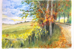 Phelps Road in October