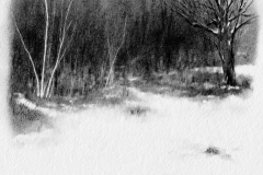 Two Ways in a Winter Wood