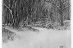3”x3” pencil on paper from “Two Ways in a Winter Wood”