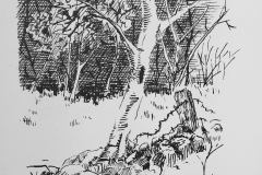 magazine illustration,2