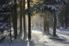 “Snow Flurry in Sunlight”