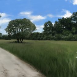 A Long Conversation
