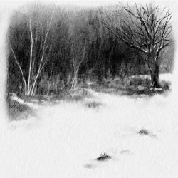 Two Ways in a Winter Wood