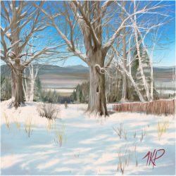 Winter Path to River