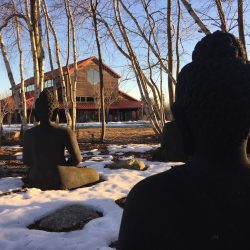 Buddhas Watching over Us