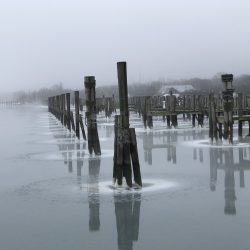 Sag Harbor Frosting
