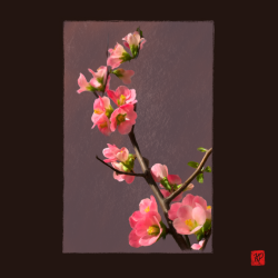 Plum Blossom Branch