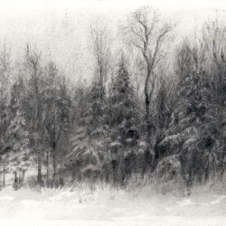 Adirondack Winter, 2