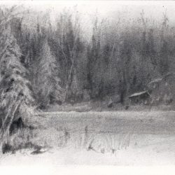 Adirondack Winter, 3