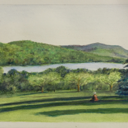 Apple Trees at Kripalu