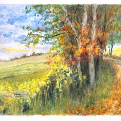 Phelps Road in October, watercolor