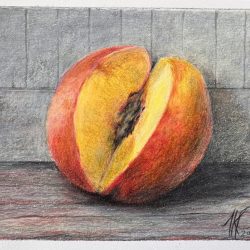 peach, sliced, colored pencils