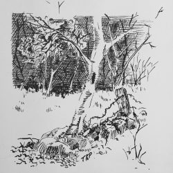 magazine illustration,2