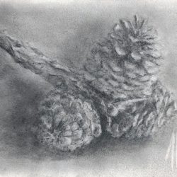 "Pine Cone Cluster"